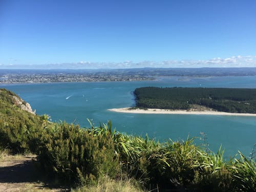 Free stock photo of emerald sea, forest, mount manganui