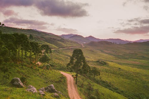 Fotos de stock gratuitas de árboles verdes, Brasil, camino de tierra