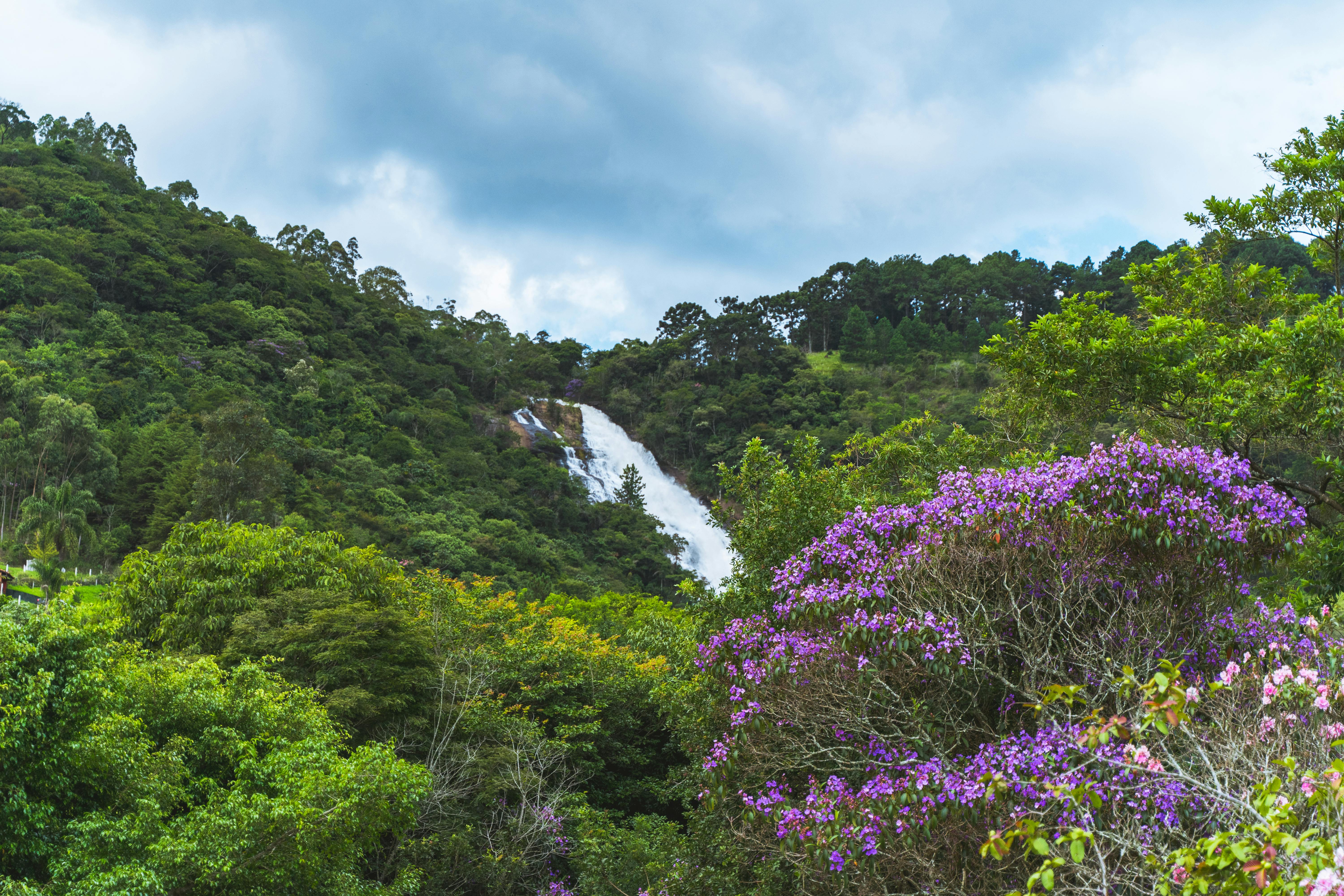 应该怎么正确认定爆炸罪