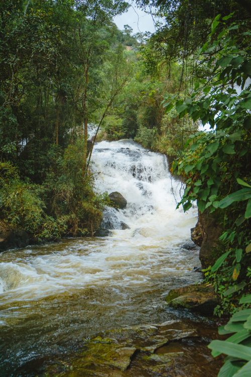 Free A tranquil waterfall flowing through dense green forest creating a serene and natural landscape. Stock Photo