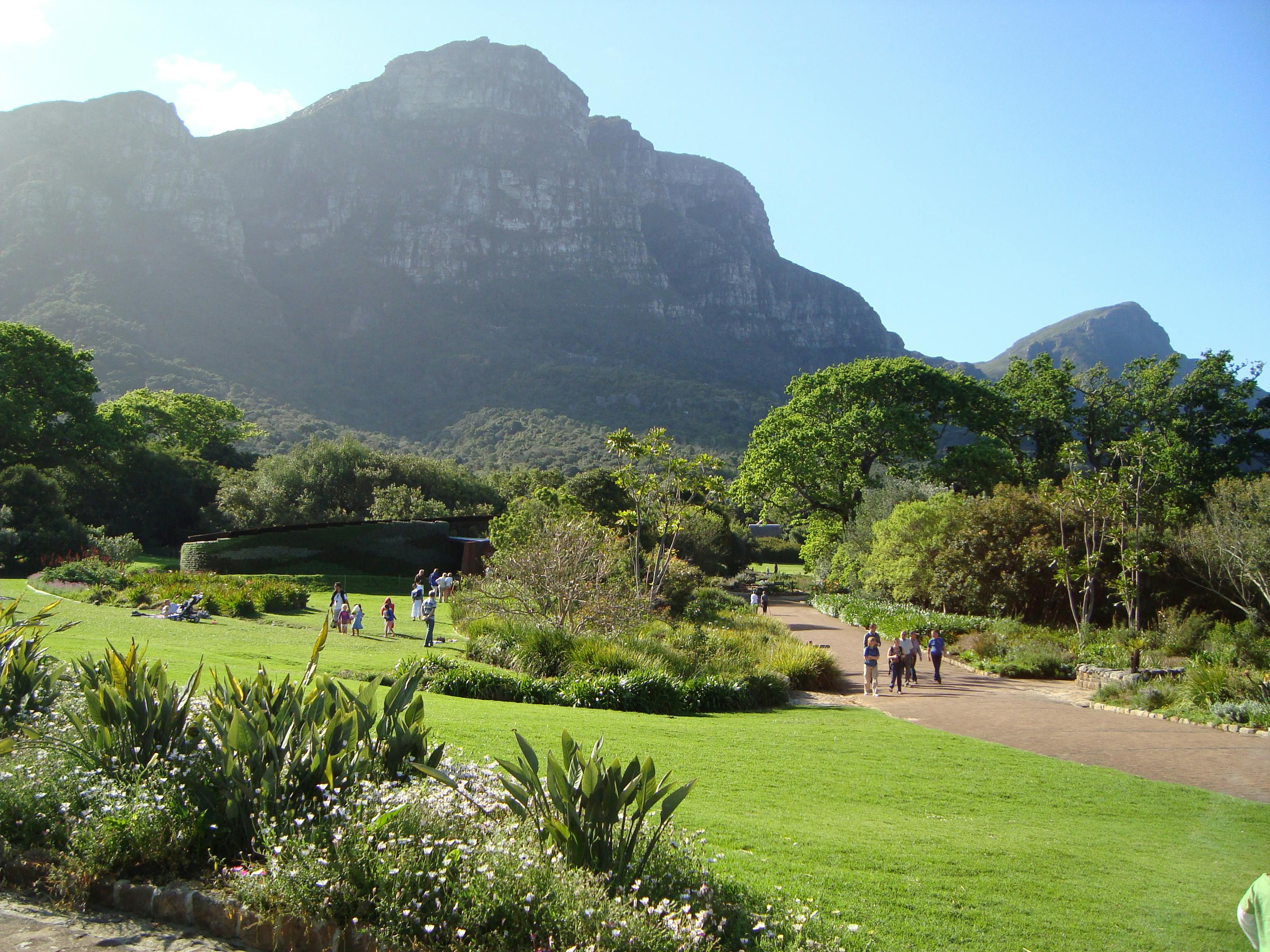 Free stock photo of botanical gardens, mountain gardens, mountainside