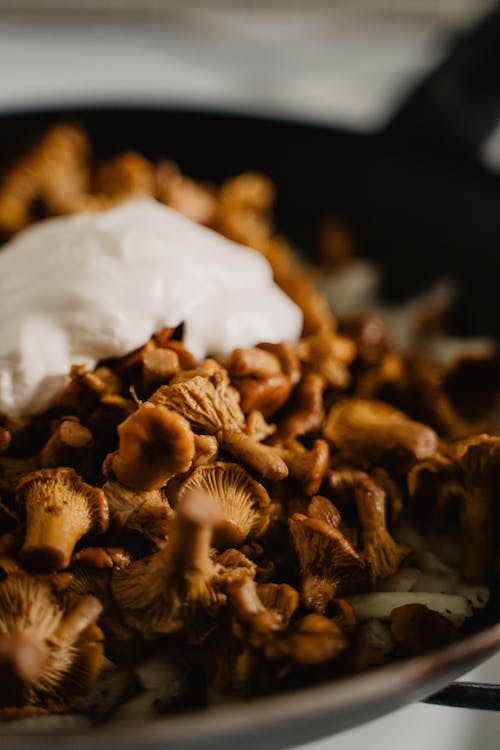 Brown Mushrooms in Close Up Photography