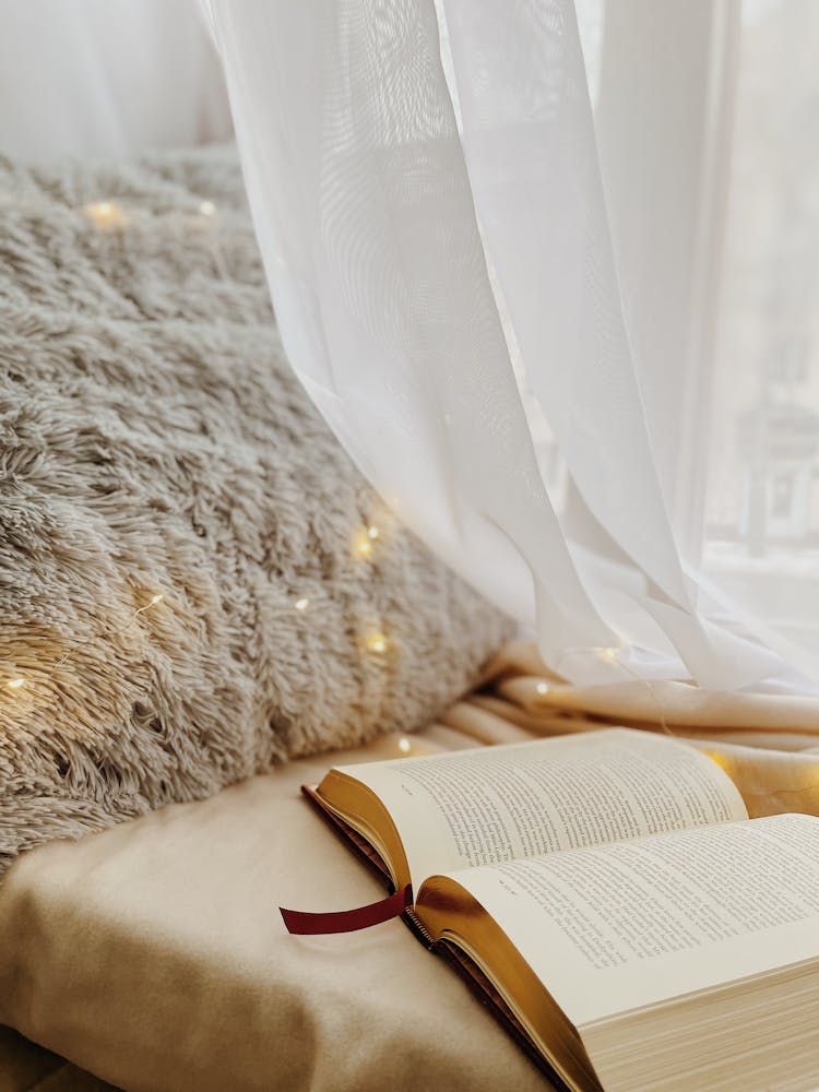 Opened Book And Furry Pillow Near A Window