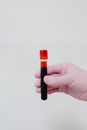 Black and Orange Pen With White Background