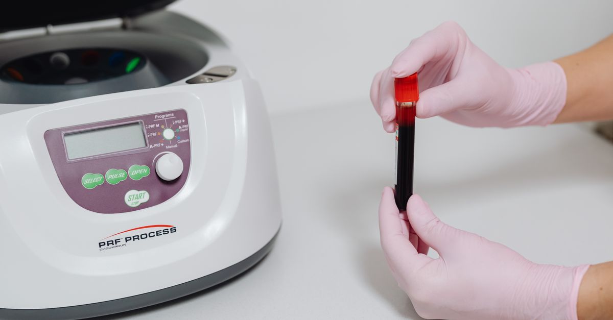 Molbio Diagnostics IPO: A High-Risk Bet on Long-Term Growth?