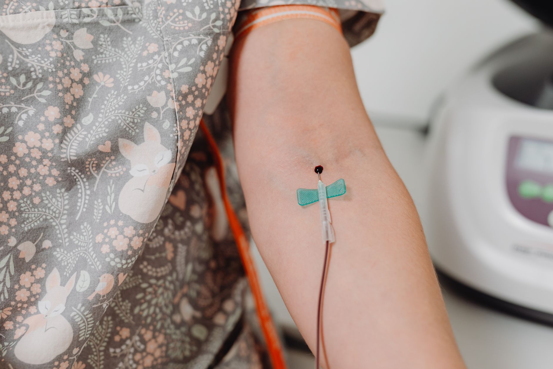 Bloodletting: A Historical Medical Practice and Its Modern Echoes