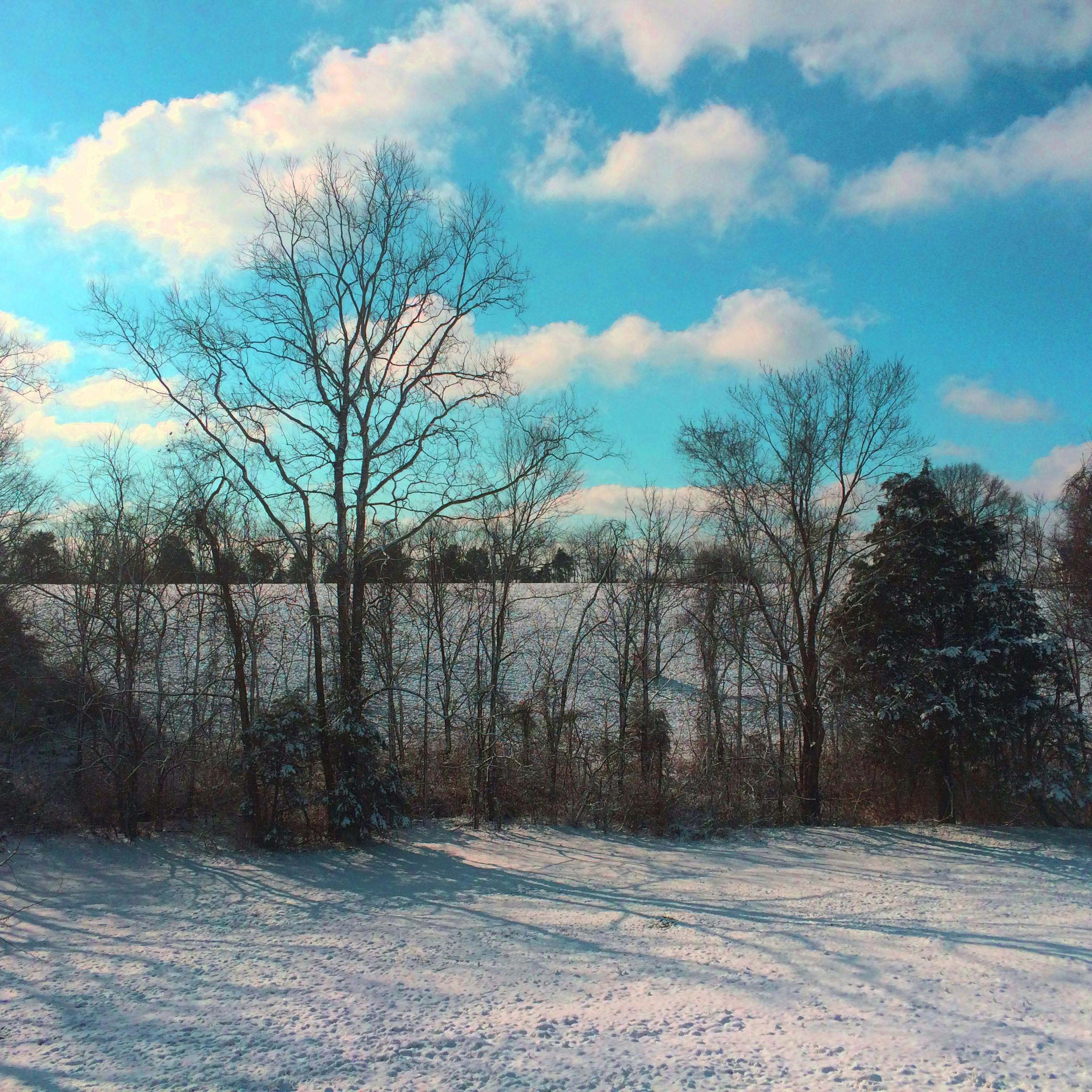 ホワイトニング