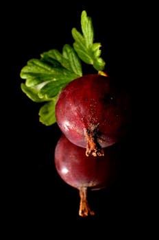 Close-up of a ripe gooseberry with leaves on a black reflective surface.