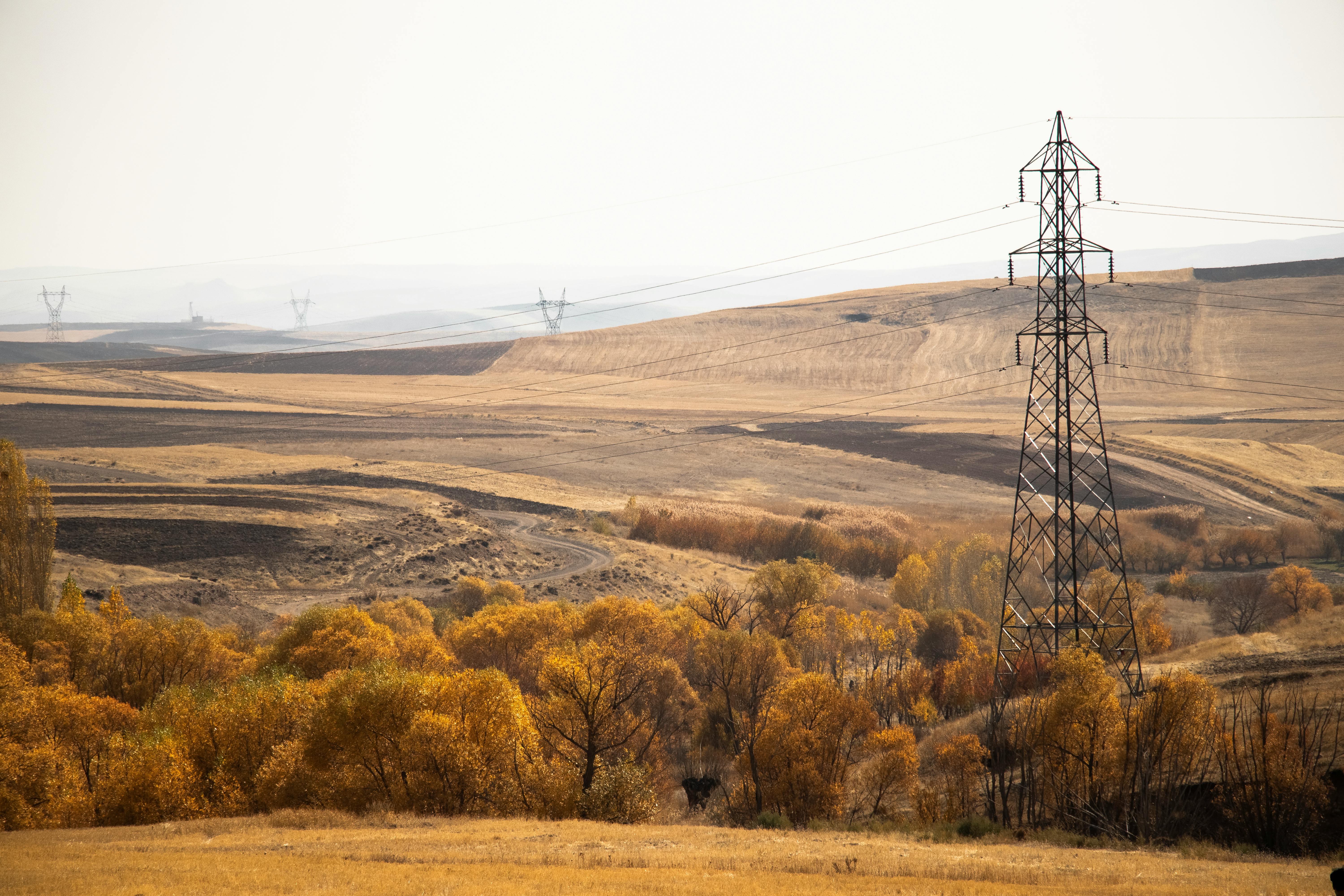 The Canada–Africa Chamber of Business Visits Hamilton to Strengthen Trade and Investment Links - Africa24 TV