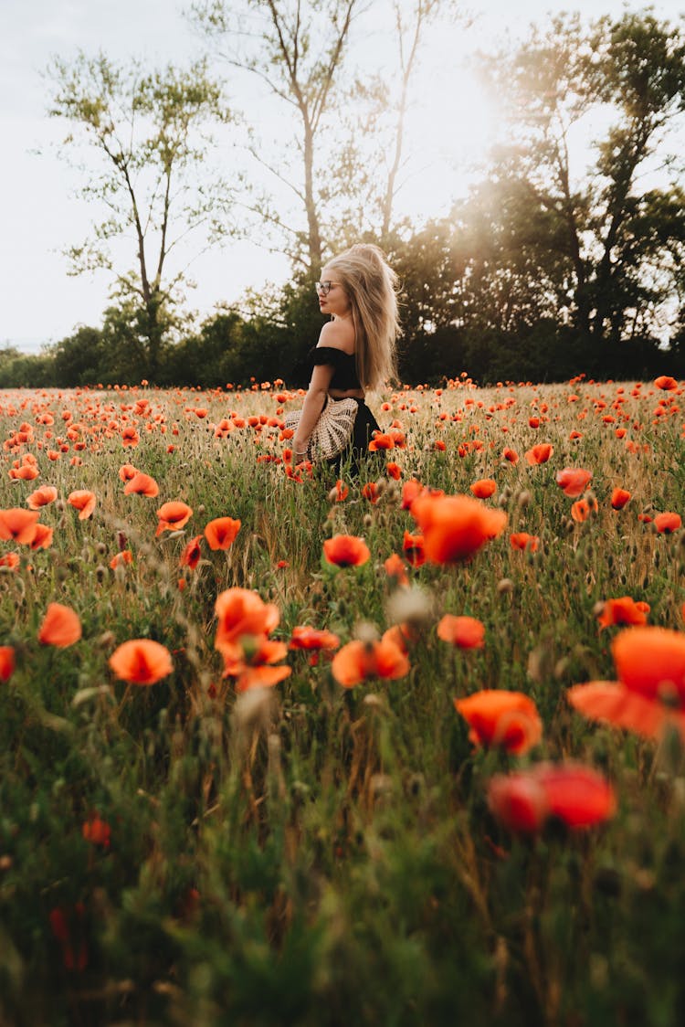 A Woman Standing On The Field Of Red Poppies