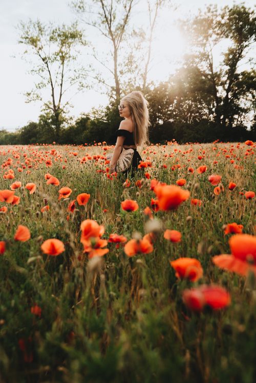 Free A serene scene of a woman standing in a poppy field during sunset in Düsseldorf. Stock Photo