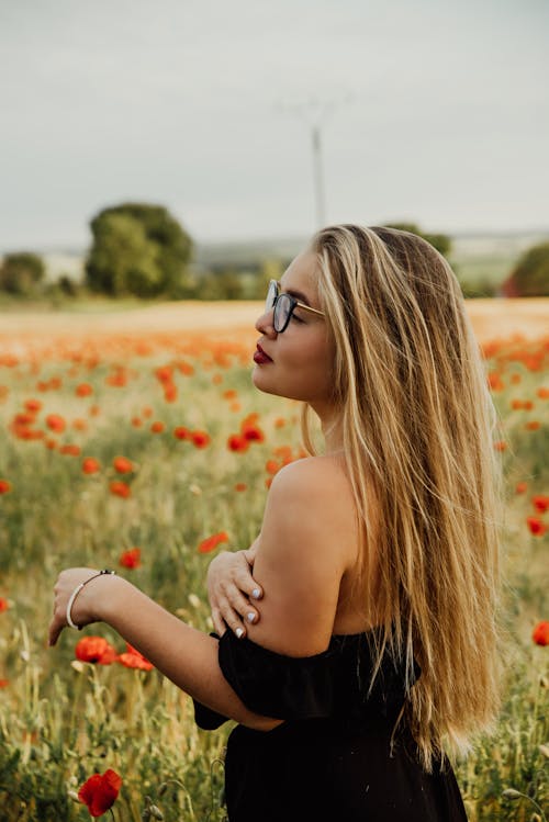 Çiçek tarlası, Çiçekler, dikey atış içeren Ücretsiz stok fotoğraf