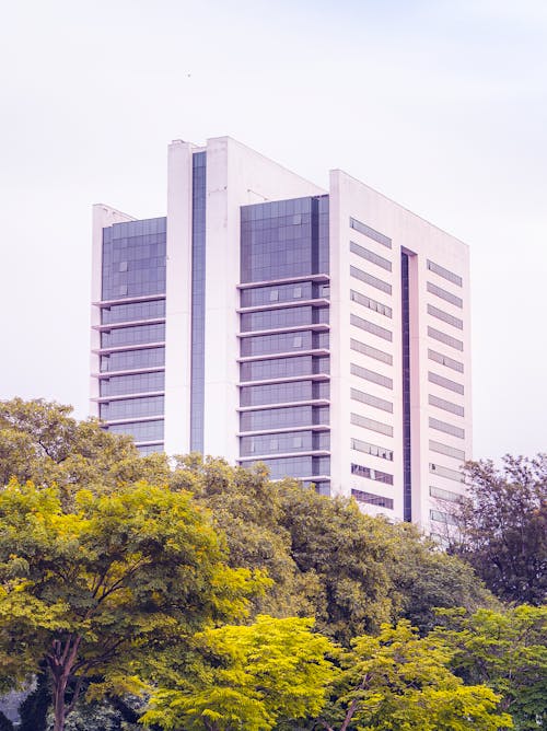 Modern Building Near Trees