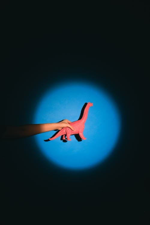 Free Photo of a Person's Hand Holding a Dinosaur Toy Stock Photo