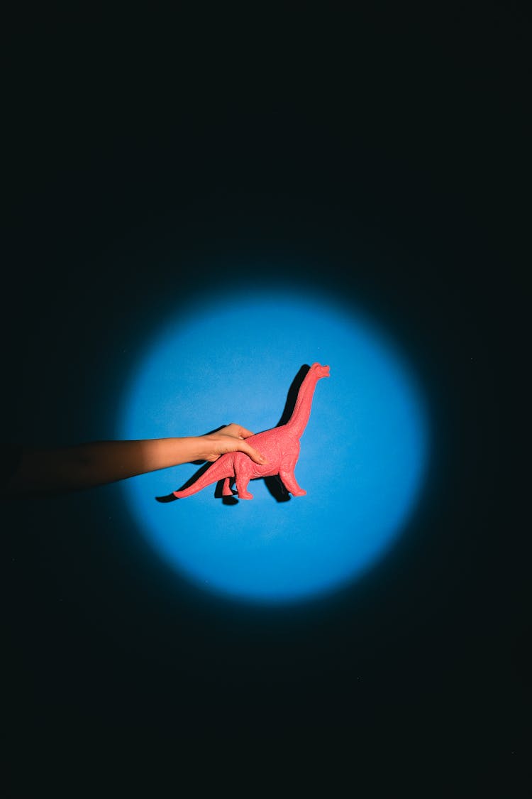 Photo Of A Person's Hand Holding A Dinosaur Toy