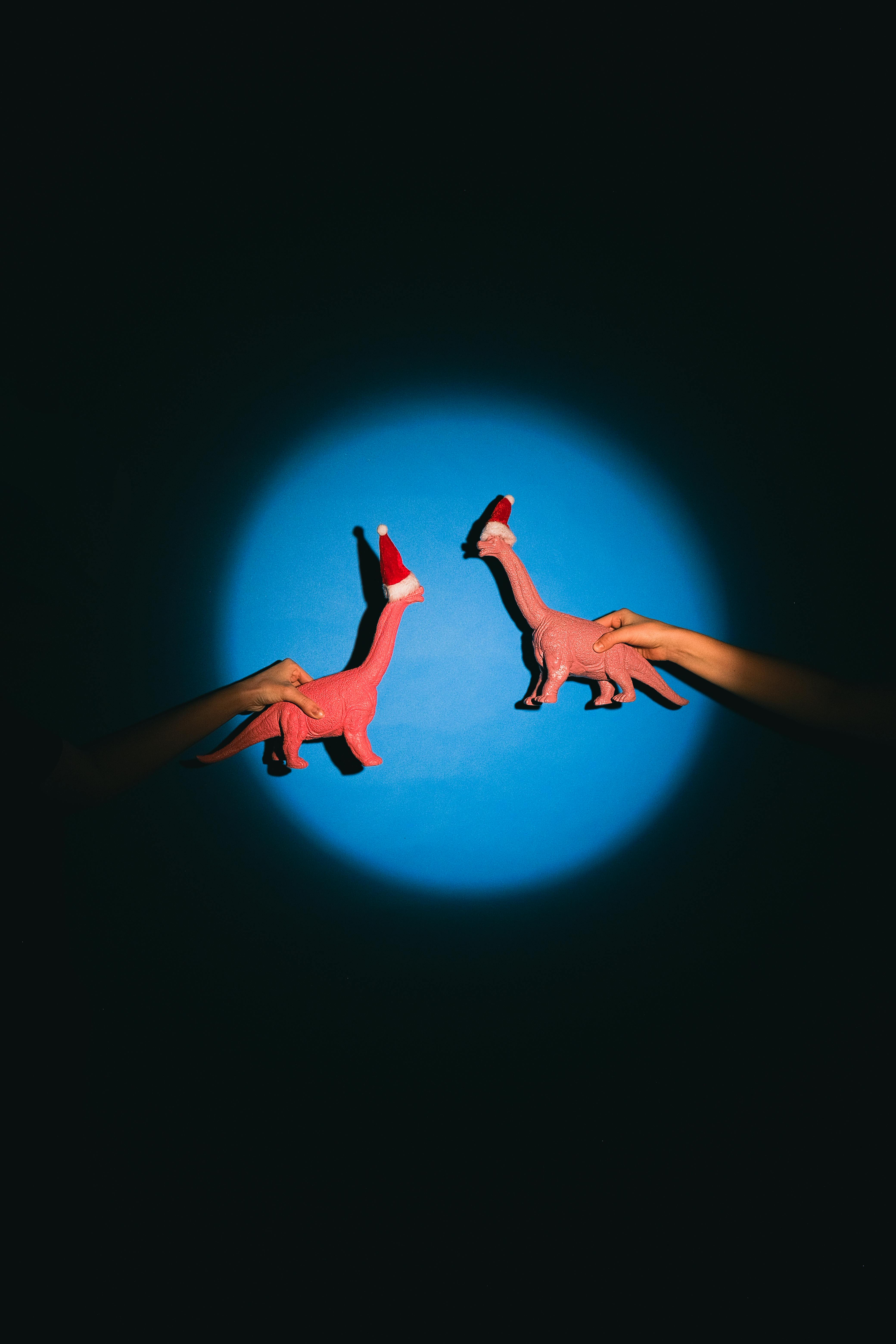 Fun Filled Toys And Gifts