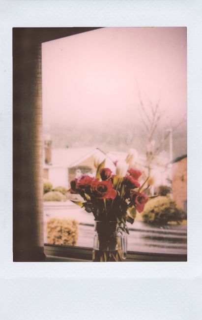 A retro-style Polaroid photo of a vibrant bouquet in a vase by a window, capturing a cozy indoor atmosphere.