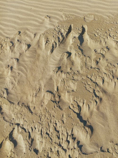 Free Detailed view of textured sand dunes exhibiting natural patterns and sunlight shadows. Stock Photo