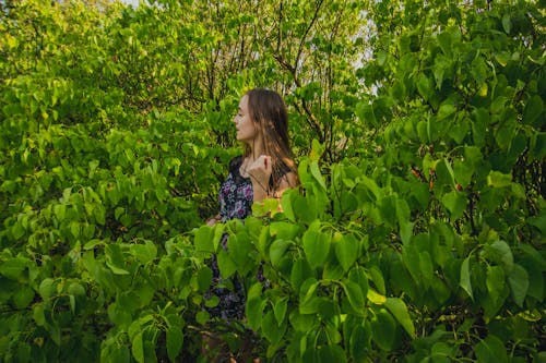 Free stock photo of girl