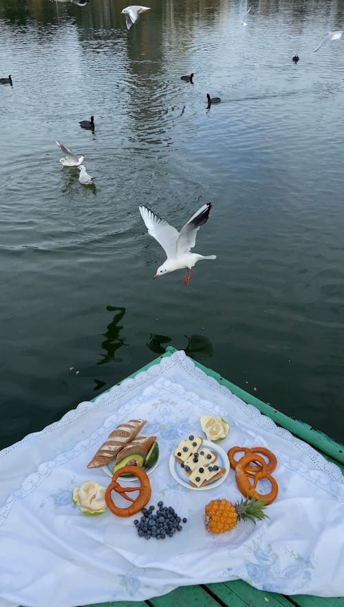 From above of white picnic plaid with served tasty food with bakery products placed on green dock near rippling river with flying seagulls