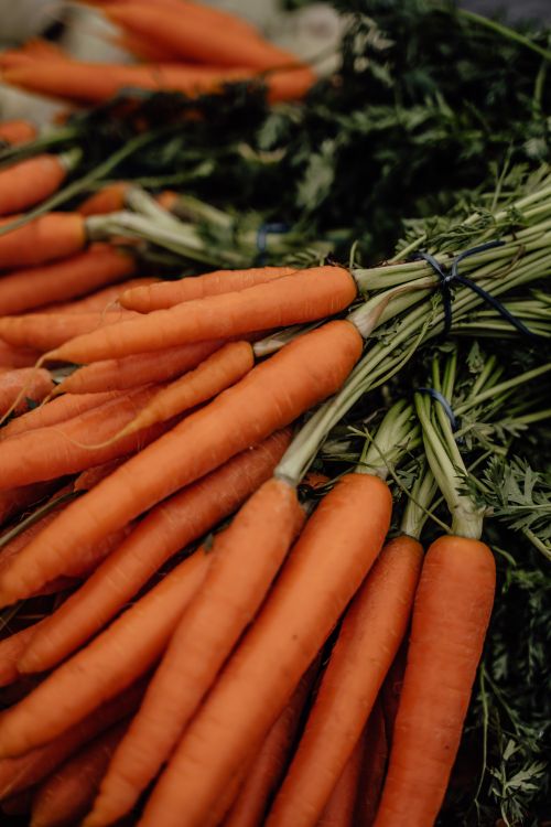 Free Freshly harvested organic carrots bundled together at a vibrant market in Erfurt, Germany. Stock Photo