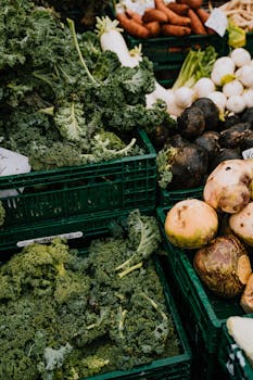 Assorted fresh organic vegetables in plastic crates at a market in Erfurt, Germany.