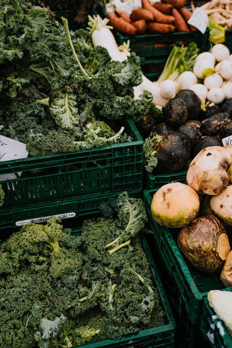 Fresh Vegetables On Green Plastic Crate