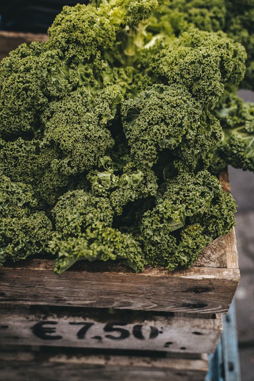 Free A Close-Up Shot of Kale in a Wooden Crate Stock Photo