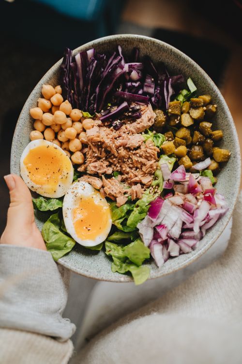 Clinical nutrition and balanced food