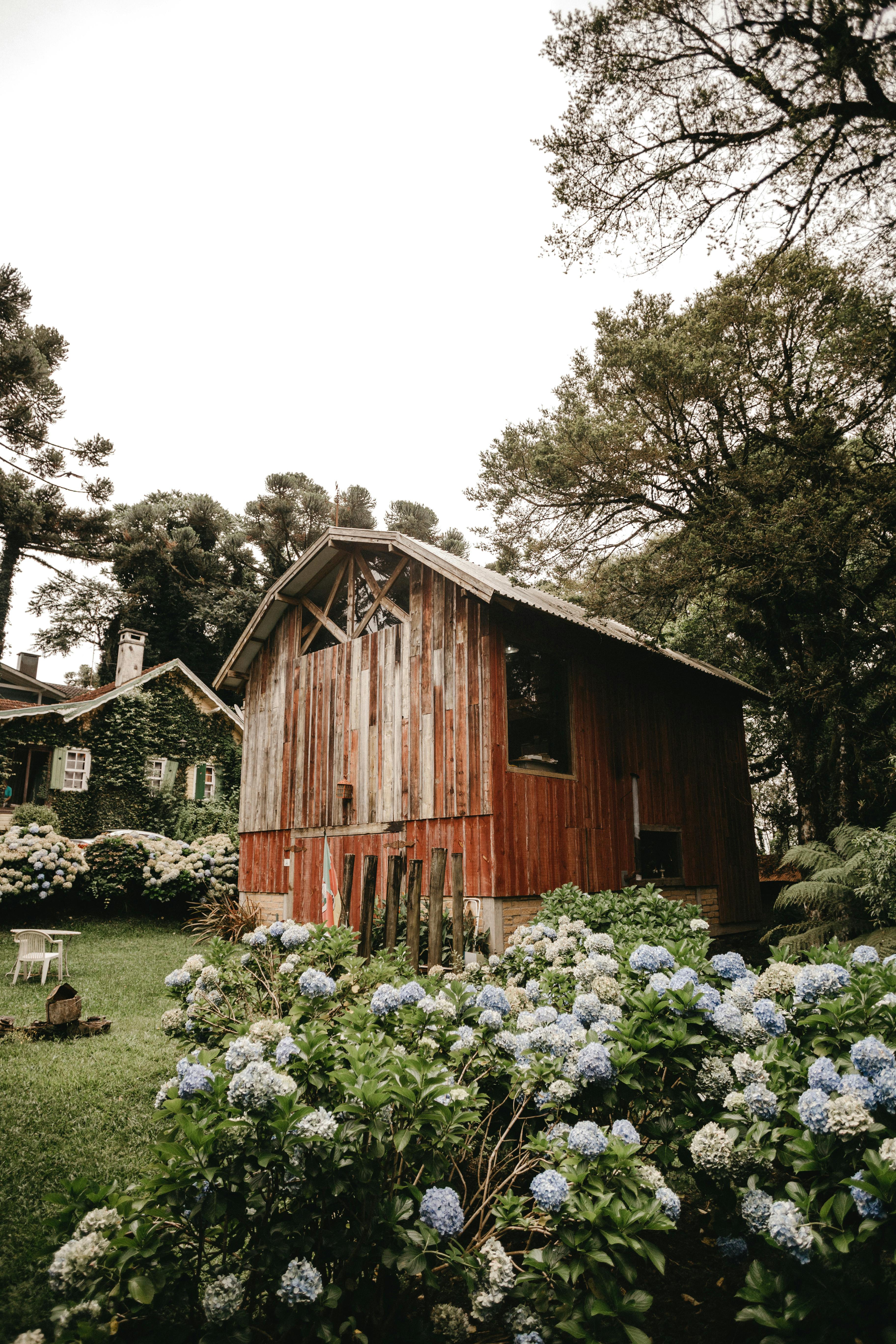 Small weathered wooden shack located on lush valley in park in summer peaceful countryside