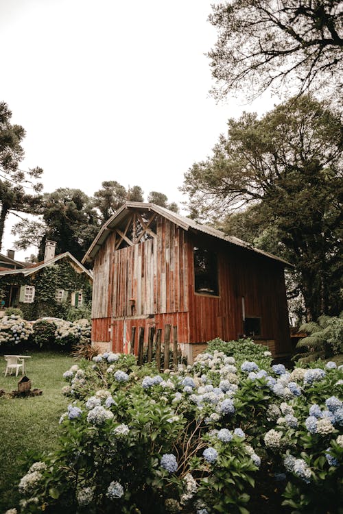 Shabby wooden hut in lush park