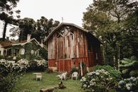 Exterior of shabby wooden hut located on lush grassy courtyard near rural house in peaceful village