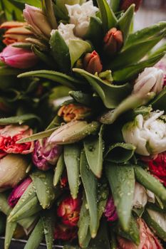 Close-up of a vibrant tulip bouquet with dewdrops, showcasing fresh colors and textures in Erfurt.