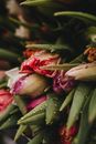 Pink and White Tulips in Bloom