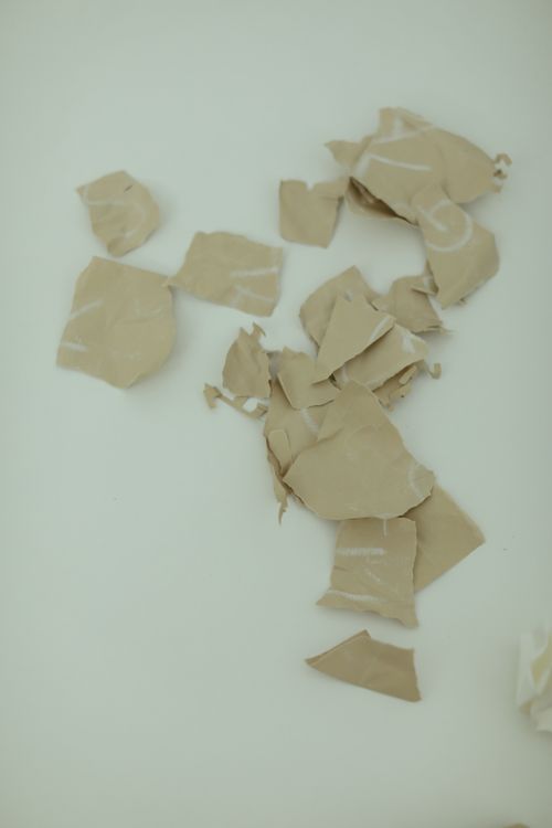 40,000+ Best Smashed Paper Photos · 100% Free Download · Pexels Stock ...