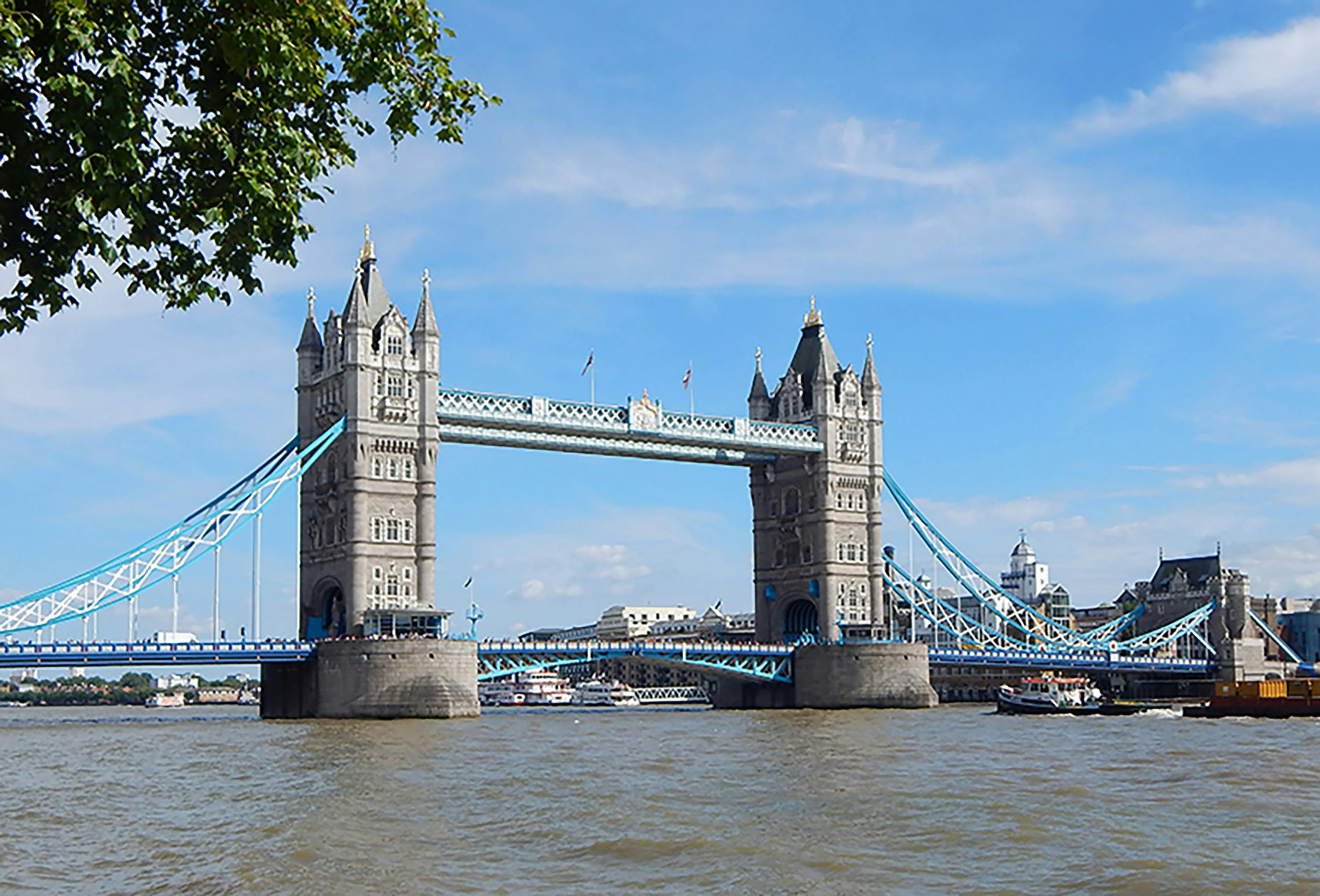 Saç Egzaması Neden Alevlenir? Stres, Kortizol ve Kaşıntı Kısırdöngüsü