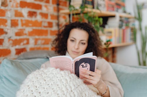 Free Woman Reading a Book Sitting on the Couch Stock Photo