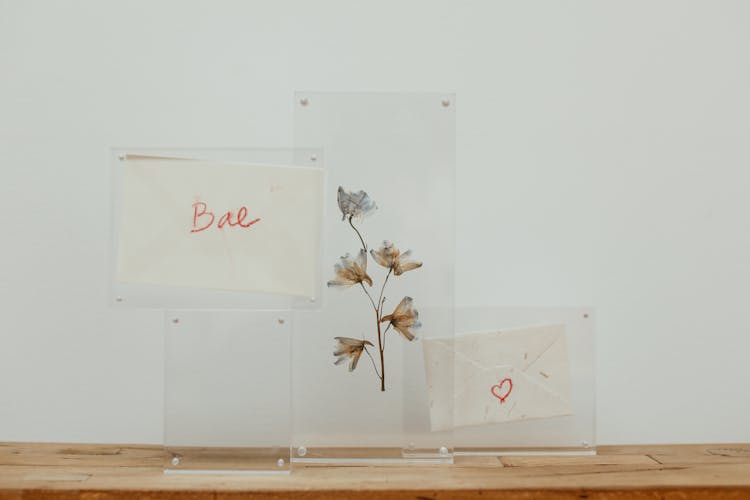 Wilted Flowers, An Envelope And A Note In Transparent Frames