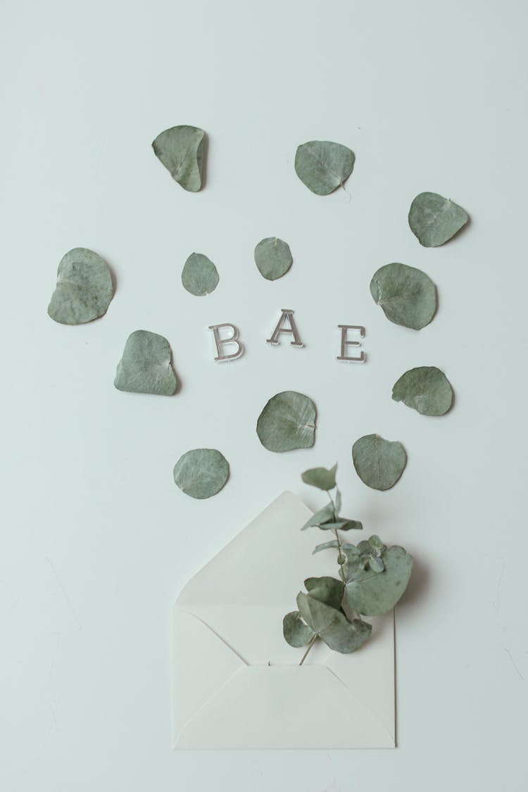 Close Up Of Envelope Addressed To Bae And Leaves