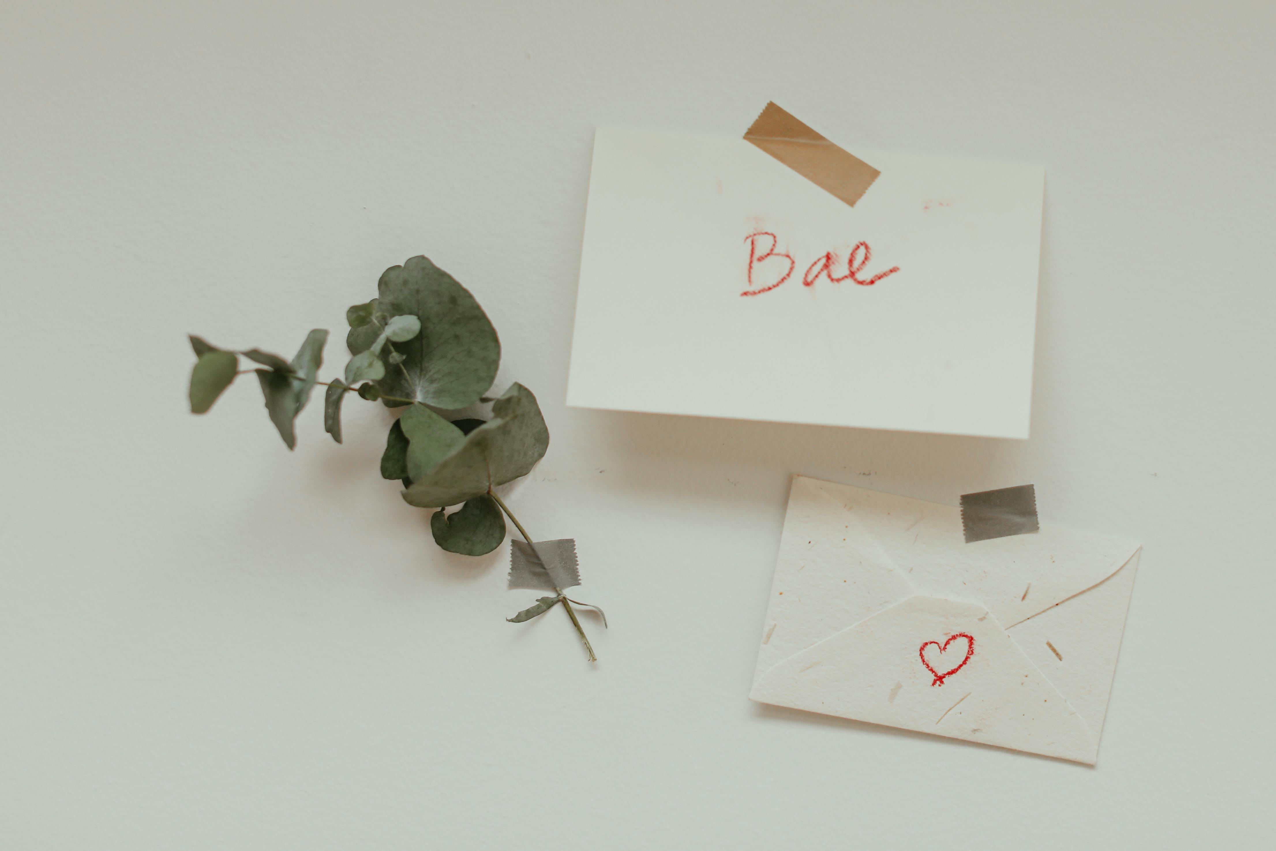 twigs an envelope and a note taped to a white surface