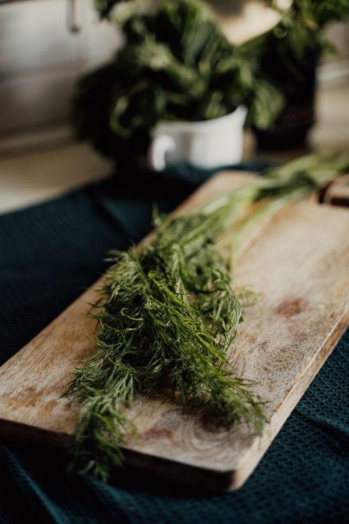 Free Fresh dill herbs placed on a rustic wooden chopping board, perfect for organic recipes. Stock Photo