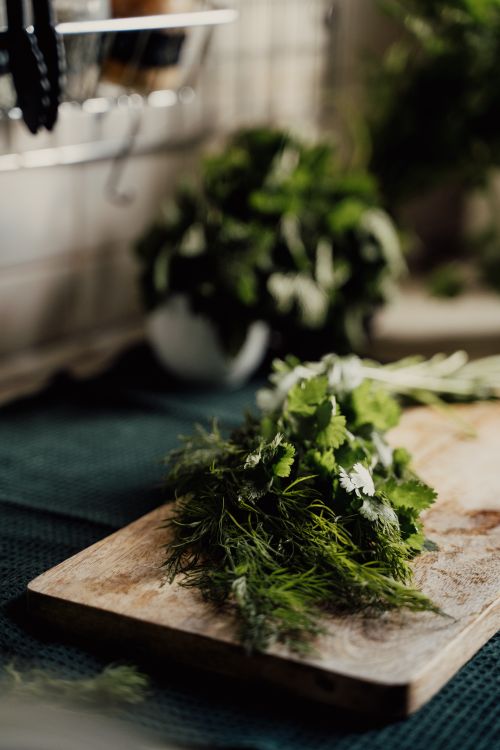 Free Close-up of fresh dill and cilantro on a wooden chopping board in a kitchen setting. Stock Photo