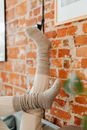 Person in White Sock Standing on Brown Brick Wall