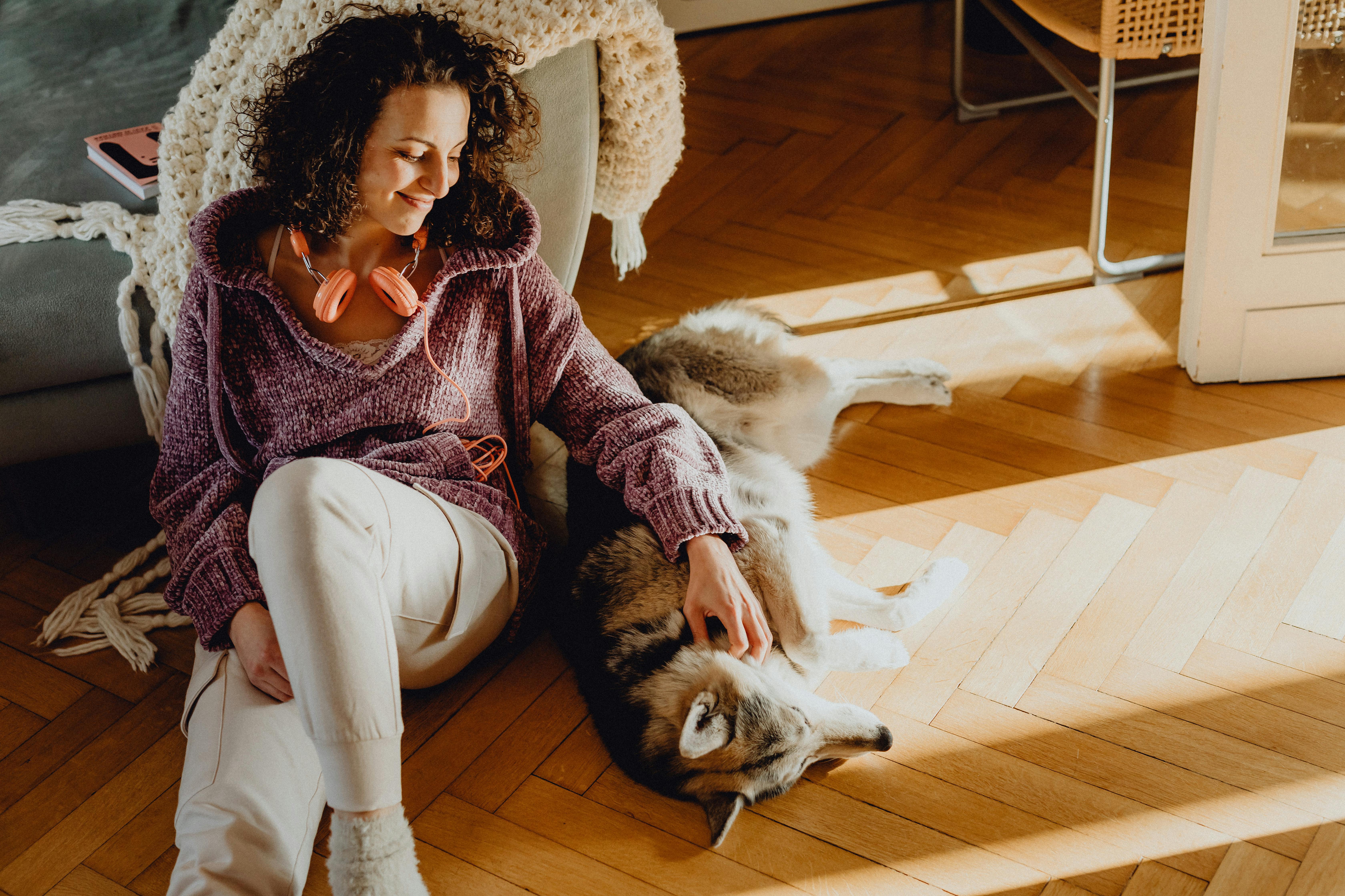 pet technology meaning — Photo by www.kaboompics.com on Pexels