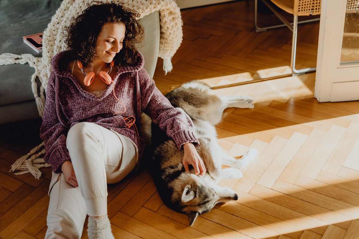 A caregiver sits on a wooden floor beside a relaxed dog in a tidy home setup.