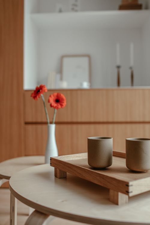 Vase with White Leafy Twigs on a Modern Table · Free Stock Photo