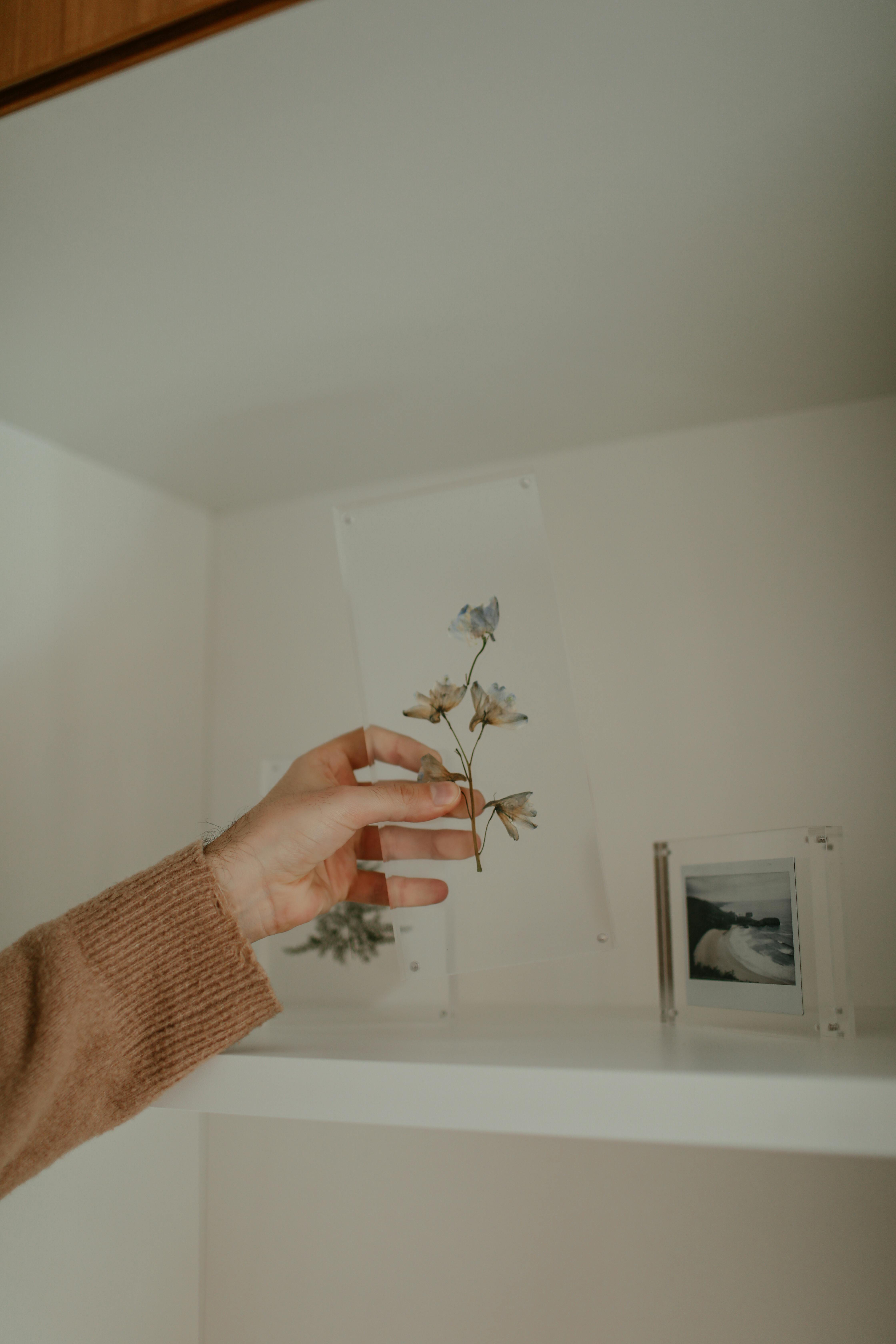 A hand reaching for a dried flower on a minimalist shelf with decor.