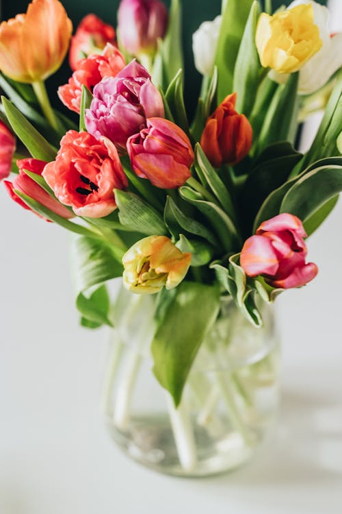 Free Bunch of Tulips inn a Glass Vase Stock Photo