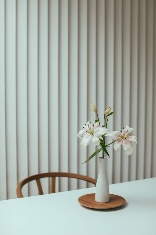 Still Life Photography of Flowers in a Vase