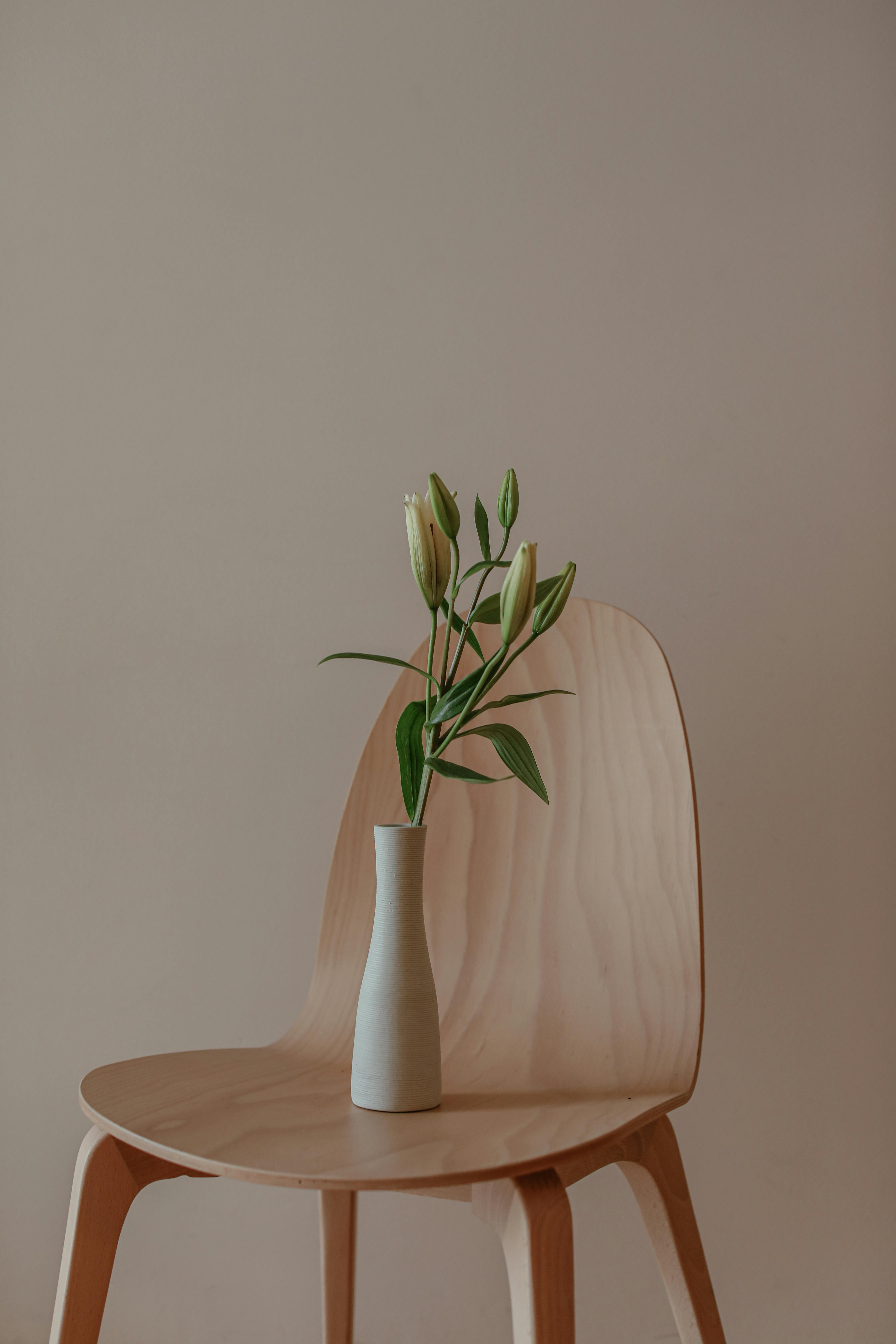 Elegant minimalist setup with a vase of flowers on a wooden chair against a neutral backdrop.